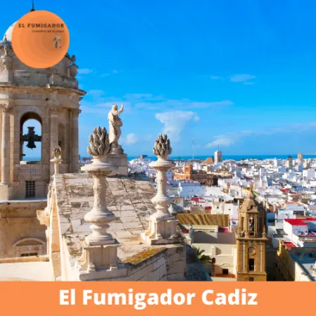 Control de Plagas en Cadiz