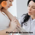 Picaduras de insectos