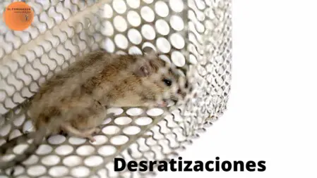 Desratizar en cordoba